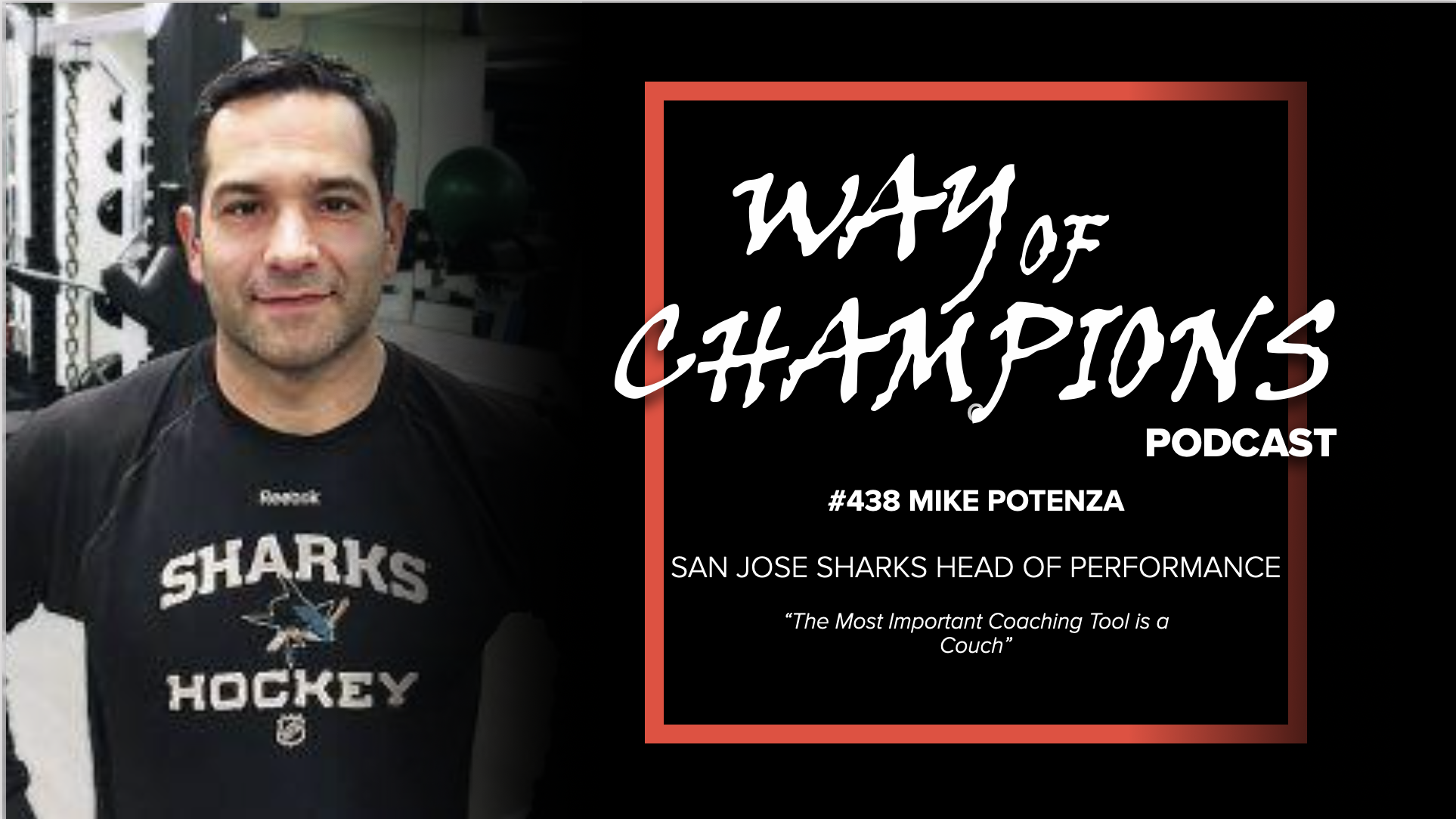 #438 Mike Potenza